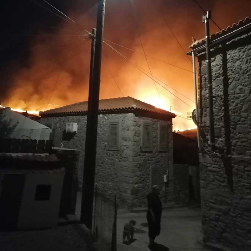 Feuer in Griechenland Insel Lesbos